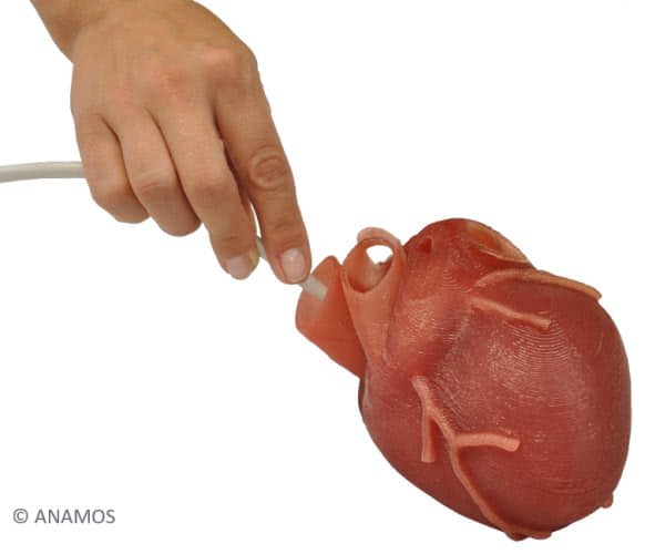 Additiv gefertigtes Silikonmodell eines menschlichen Herzens zum Praktizieren chirurgischer Eingriffe | Quelle: Anamos